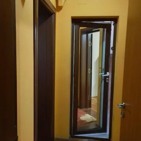 за гости * Gotse Delchev