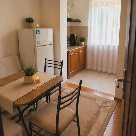 за гости Apartment *