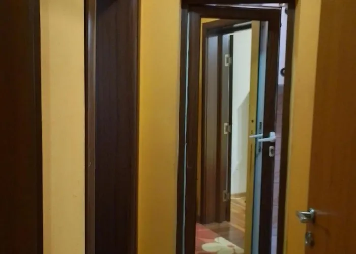 за гости * Goţe Delcev