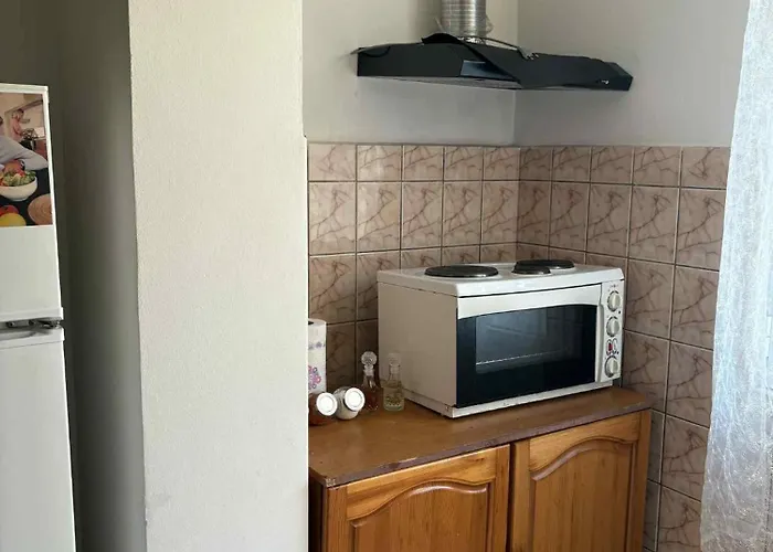 Apartament за гости Goţe Delcev