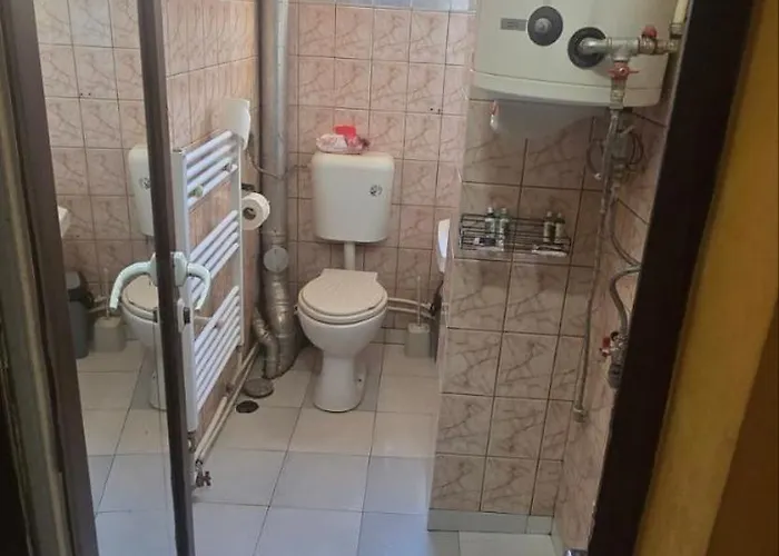 за гости Apartament Goţe Delcev